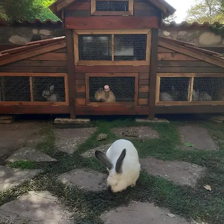 Hotel семеен хайдутите 2*