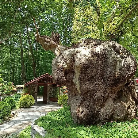 호텔 семеен хайдутите