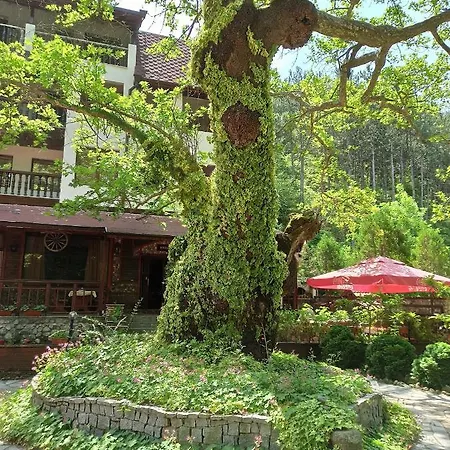 семеен хайдутите 2*