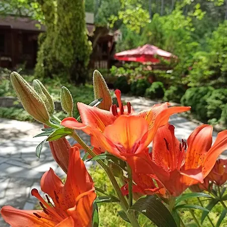 семеен хайдутите 호텔