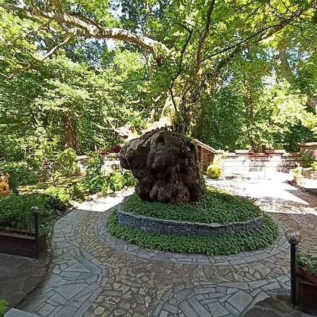 семеен хайдутите 2*