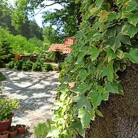 семеен хайдутите 2* 산단스키