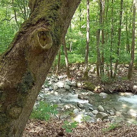 семеен хайдутите 산단스키