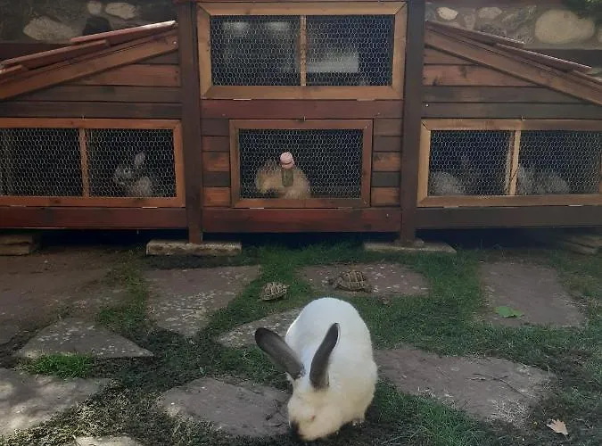 Ξενοδοχείο семеен хайдутите 2*