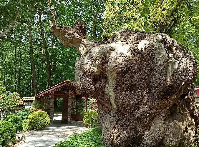 Ξενοδοχείο семеен хайдутите