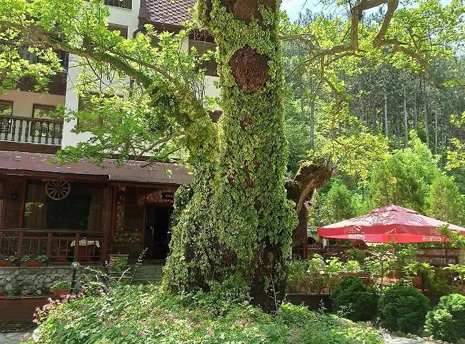 семеен хайдутите 2*