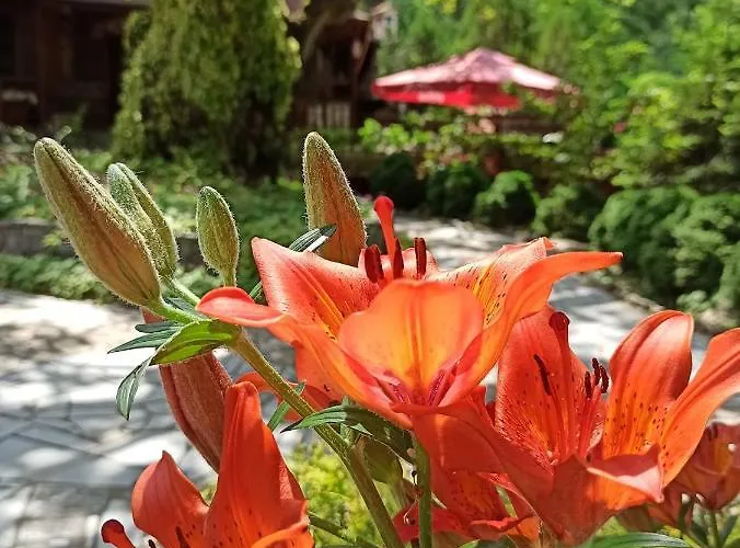 семеен хайдутите Ξενοδοχείο