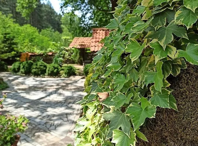 семеен хайдутите 2* 산단스키