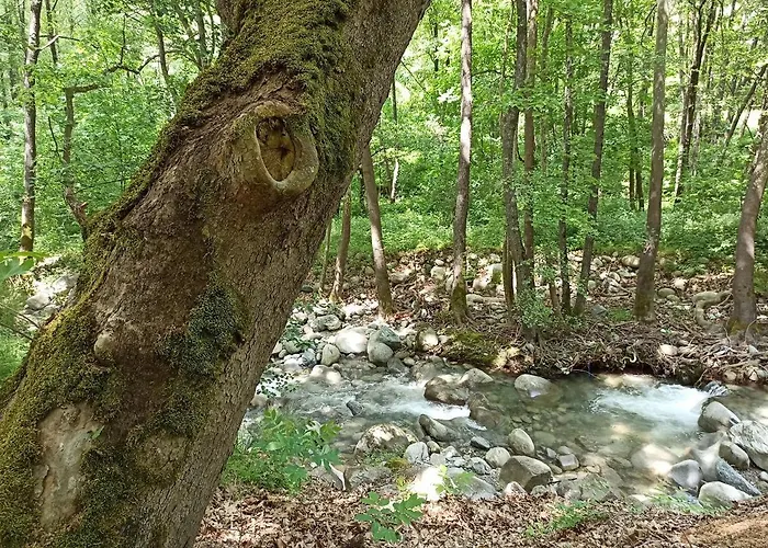 семеен хайдутите 산단스키