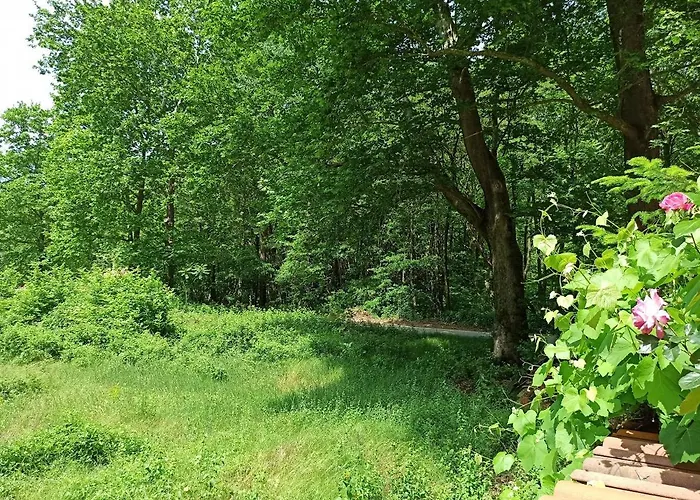 호텔 семеен хайдутите